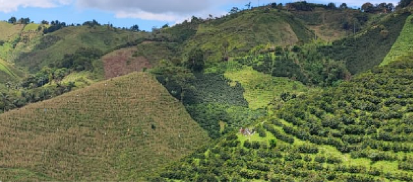 Colombia