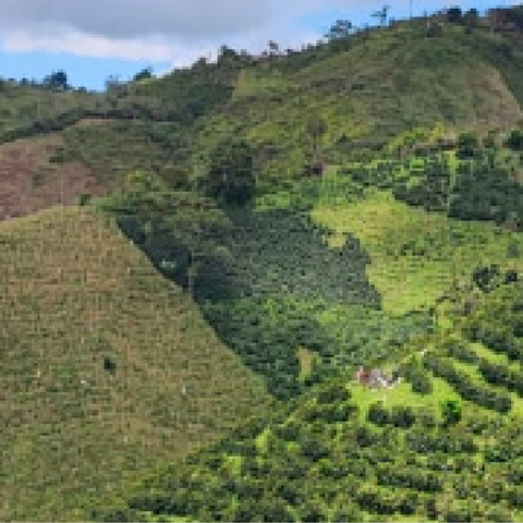Colombia