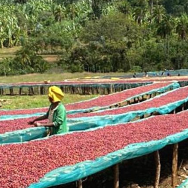Ethiopia